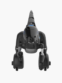 Gin Lane Greenport Cotton Shirt