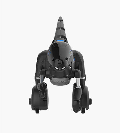 Gin Lane Greenport Cotton Shirt